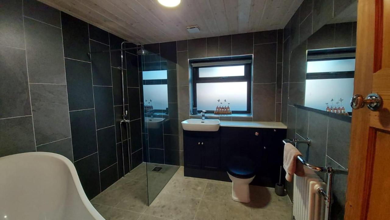 No 1 Dolheulog Aberaeron Sa46 0Ep Vila Exterior foto